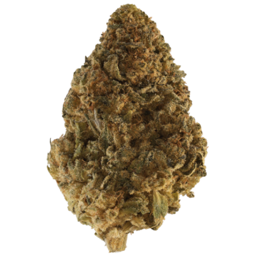 Bild Cannabisblüte Gestion Cannabec MH 20/1 Mac Herer