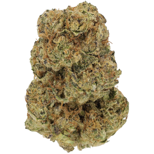 Bild Cannabisblüte Luana Kush 28/1 Hippie Kush