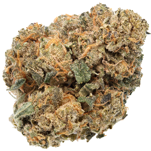 Bild Cannabisblüte Canify Cannabis 22/1 CZE Acai Berry
