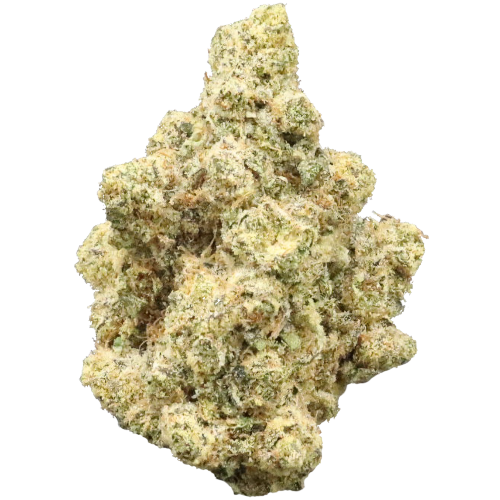 Bild Cannabisblüte avaay 24/1 CP Candy Pavé Candy Pave