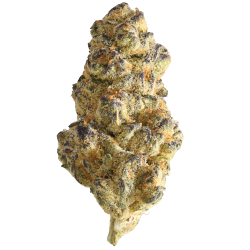 Bild Cannabisblüte Ceres RP 29/1 Rainbow Pavé