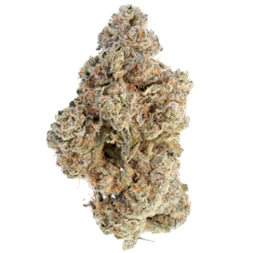 Bild Cannabisblüte GhostDrops 30/1 CGD Rainbow Pavé