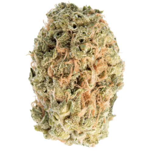 Bild Cannabisblüte Cannabis flos 20/1 CZE Ku. Ultra Sour