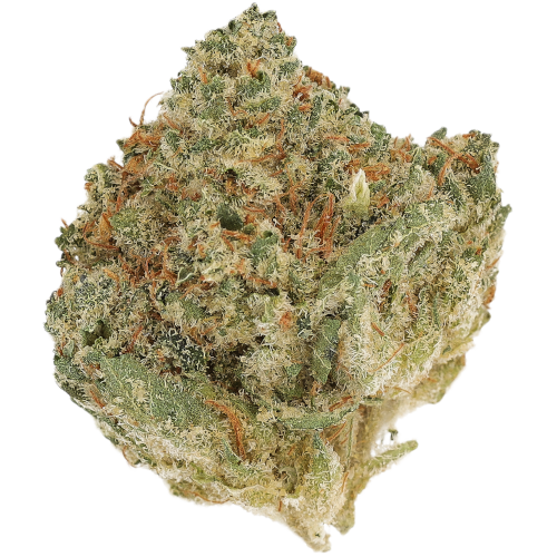 Bild Cannabisblüte Luana 27/1 Donny B Bunatic