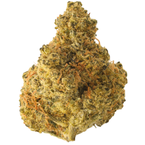 Bild Cannabisblüte Hi Society 30/1 CAN UJA Ultra Jack
