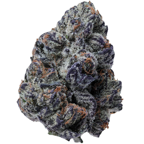 Bild Cannabisblüte 28/1 IUVO OC Killer Cupcake