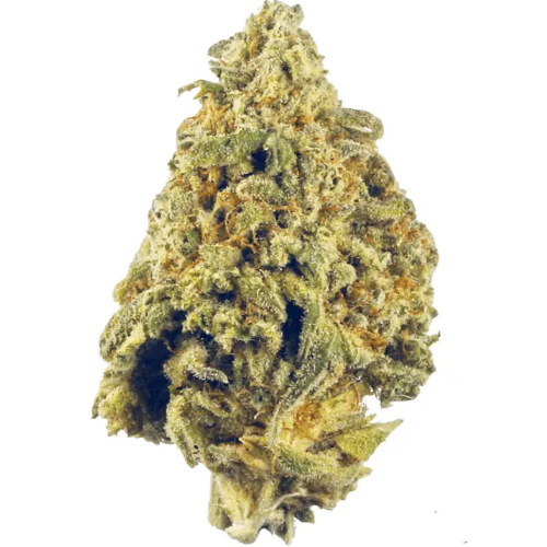 Bild Cannabisblüte Huala 27/1 UK SEK Spiced Earth Kush