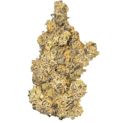 Bild Cannabisblüte V-LUE SPZ 33/1 Spritzer