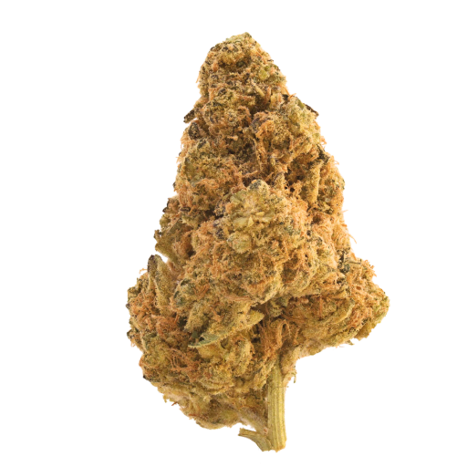 Bild Cannabisblüte Origine Nature MED 32/1 Medellin