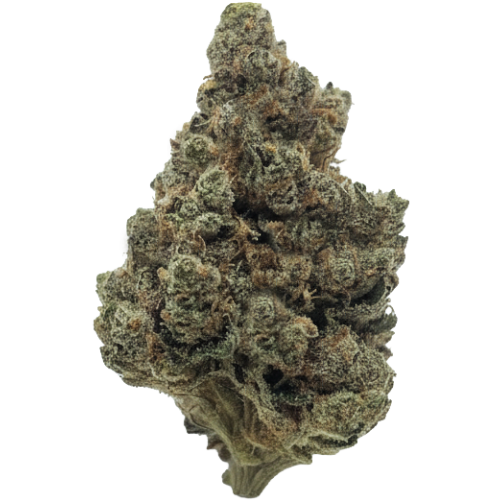 Bild Cannabisblüte AAYRA 25/1 TSH Triangle Silver Haze