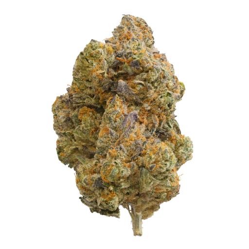 Bild Cannabisblüte TREATZ HB 29/1 Honey Biscotti