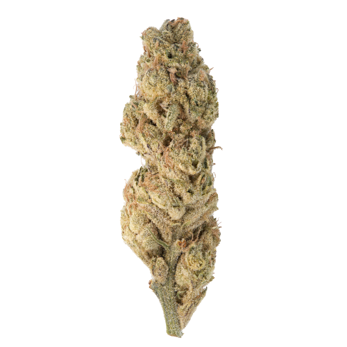 Bild Cannabisblüte Canify 25/1 LS Ku. Platinum Punch