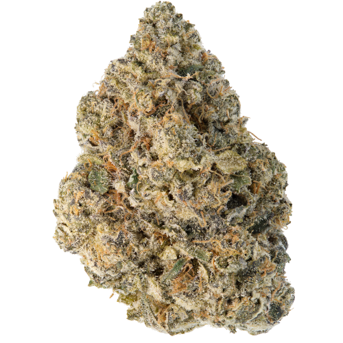 Bild Cannabisblüte Canify 22/1 CZE Ku. Mochi