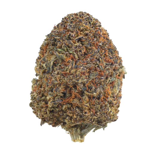 Bild Cannabisblüte CannXChange CC 25/1 Cheddar Cheeze