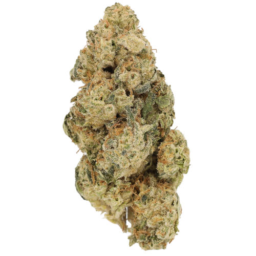 Bild Cannabisblüte Luana 28/1 Durban Poison
