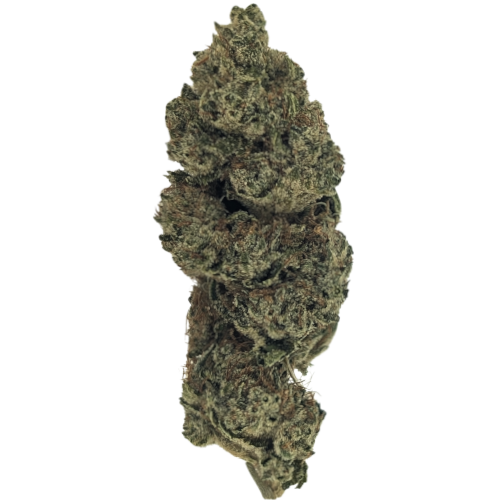 Bild Cannabisblüte Cannabis flos 27/1 CSF Ku. Solpina Magic