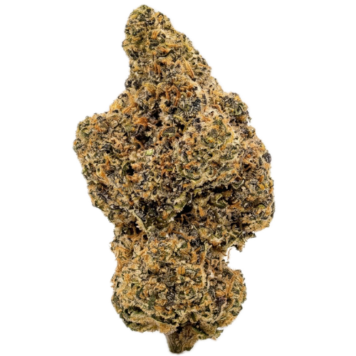 Bild Cannabisblüte Upstate 24/1 RZ Rozay