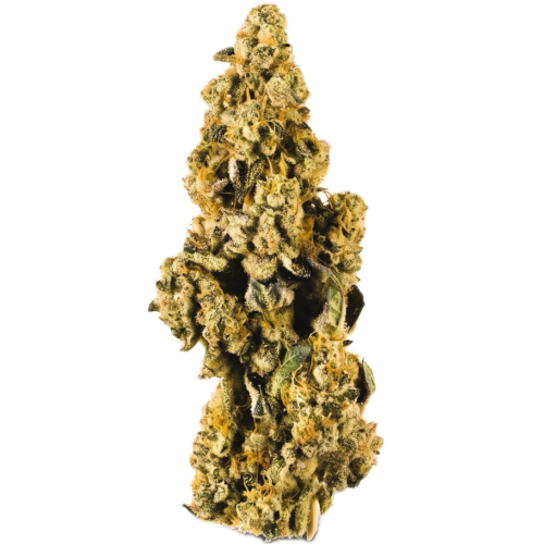 Bild Cannabisblüte Upstate 27/1 CJ Concrete Jungle