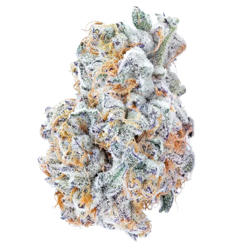 Bild Cannabisblüte avaay SIGNATURE 26/1 BYY Blueberry Yum Yum
