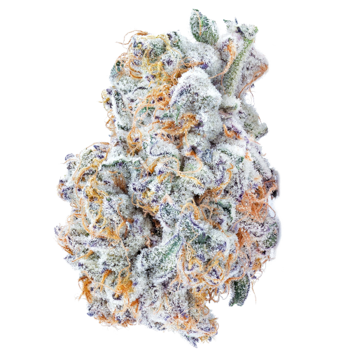 Bild Cannabisblüte avaay SIGNATURE 26/1 BYY Blueberry Yum Yum
