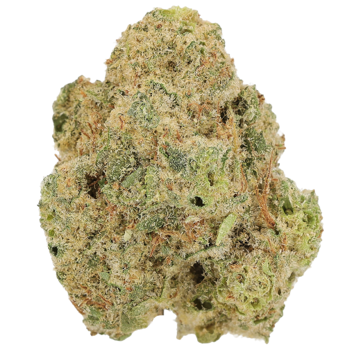Bild Cannabisblüte Luana 32/1 CM Cherry Mints
