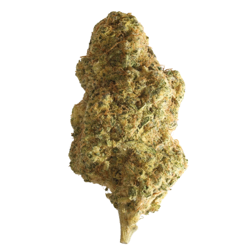 Bild Cannabisblüte Sumo MDLX 24/1 MAC Deluxe