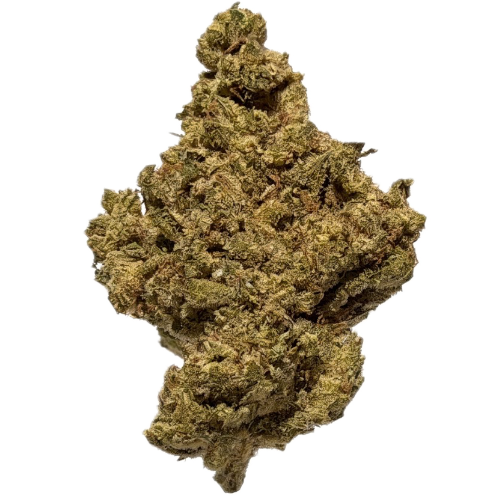 Bild Cannabisblüte Upstate 25/1 MTB Maui True Blood