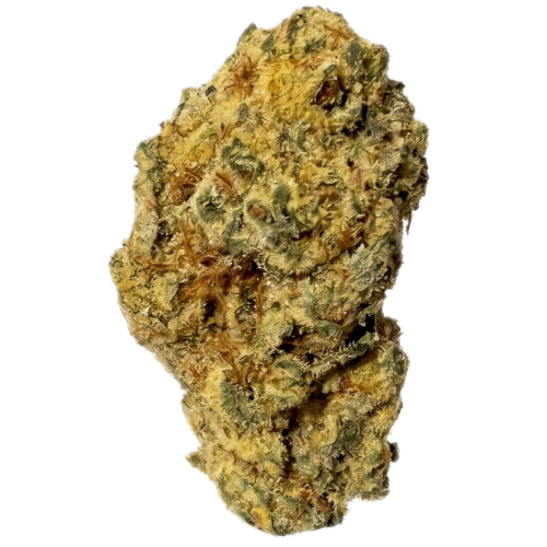 Bild Cannabisblüte Upstate 29/1 C5 Slurricane