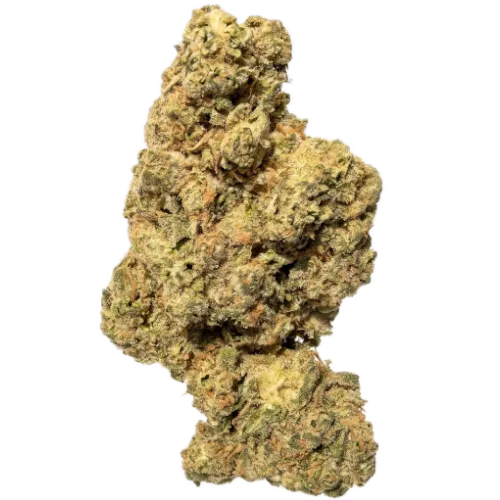 Bild Cannabisblüte Upstate 26/1 SN Shadow Neon