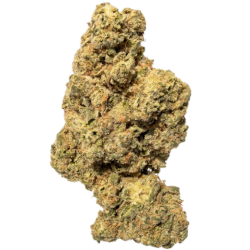 Bild Cannabisblüte Upstate 26/1 SN Shadow Neon
