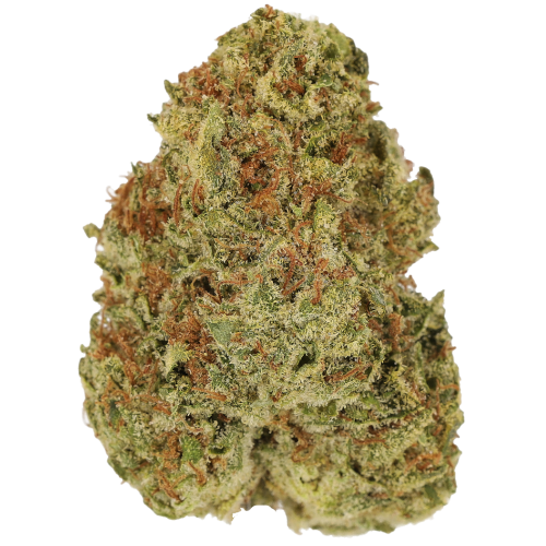Bild Cannabisblüte Luana 24/1 OG Watermelon