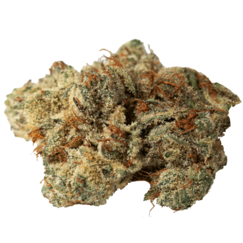Bild Cannabisblüte V-LUE FaZ9 27/1 FalconZ