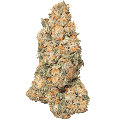 Bild Cannabisblüte CRQSH GKY 25/1 Gas Monkey