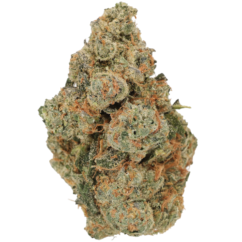 Bild Cannabisblüte Luana 28/1 GCG God Cherry Gusher