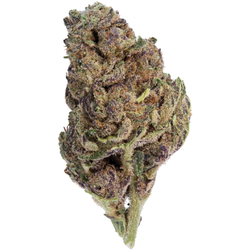 Bild Cannabisblüte Canify 14/1 CL Ku MAC DP