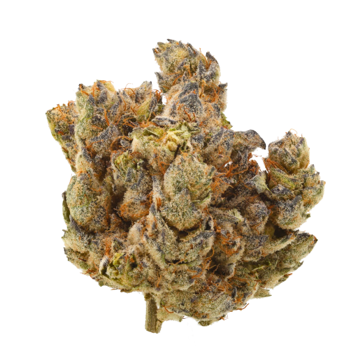 Bild Cannabisblüte J.R. Strain MM 31/1 Mandarin Mac