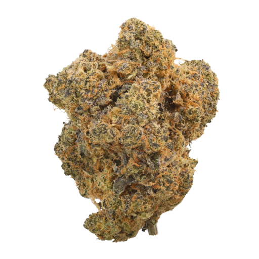 Bild Cannabisblüte Organic Sweetgrass MCC 27/1 Mint Chocolate Chips