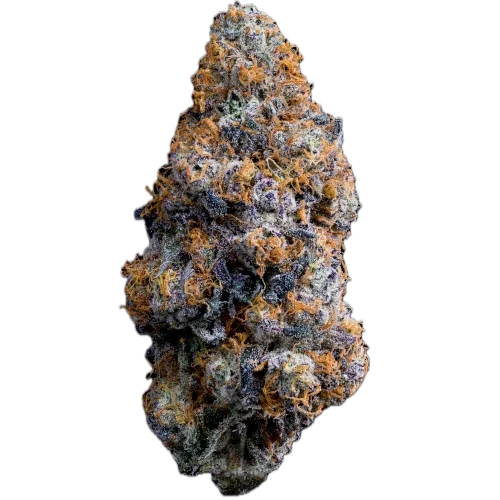 Bild Cannabisblüte avaay Signature 31/1 BA Black Amber