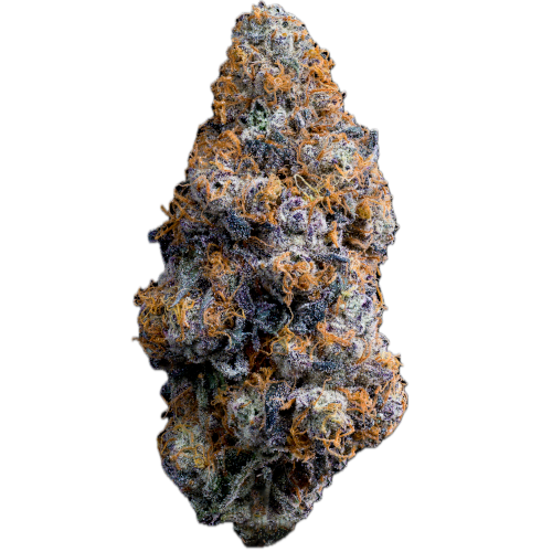 Bild Cannabisblüte avaay Signature 31/1 BA Black Amber