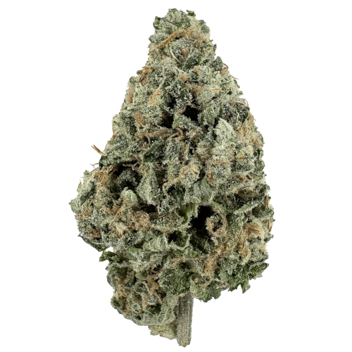 Bild Cannabisblüte AAYRA 27/1 OGK OG Kush