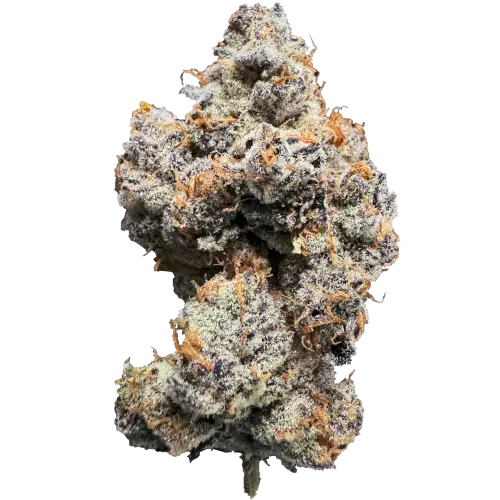 Bild Cannabisblüte 20/1 IUVO Gary Payton